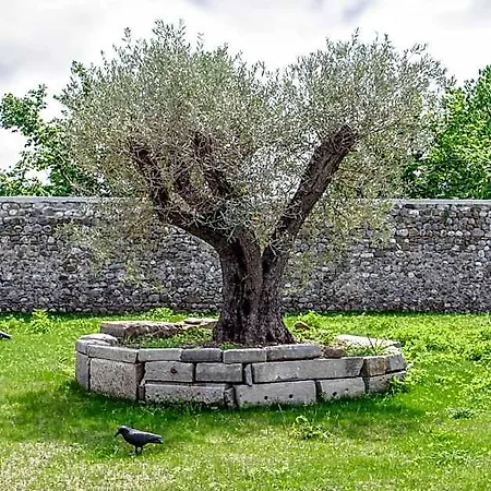 Al Sa Di Te Oda ve Kahvaltı Udine